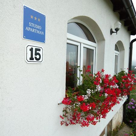 Apartments Zegarac House Korenica Exterior foto