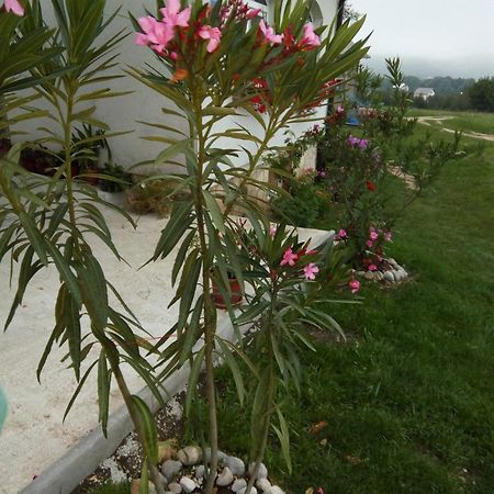 Apartments Zegarac House Korenica Exterior foto